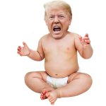Baby Asshole