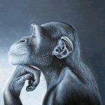Monkey Ragebait