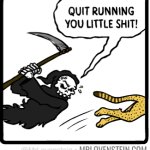 Cheetah running from death