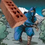 Ninja throwing a brick