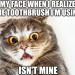 Terrifying Toothbrushes | MY FACE WHEN I REALIZE THE TOOTHBRUSH I'M USING; ISN'T MINE | image tagged in horrified cat | made w/ Imgflip meme maker