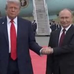 Dumb and Dumber