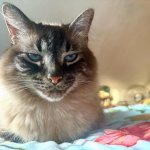 Disgusted look