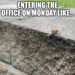 Snail on ledge | ENTERING THE OFFICE ON MONDAY LIKE… | image tagged in snail on ledge | made w/ Imgflip meme maker