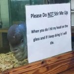 Mad fish