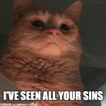 Witness | I'VE SEEN ALL YOUR SINS | image tagged in cats | made w/ Imgflip meme maker