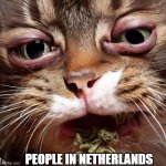 Stoned | PEOPLE IN NETHERLANDS | image tagged in stoned | made w/ Imgflip meme maker
