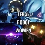 FERAL ROBOT WOMEN meme