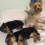 Sleepy time