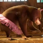 sonya the bear