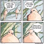 pokemon cats | RAIKOU, ENTEI 

AND SUICUNE ARE CATS, NOT DOGS. | image tagged in bird message,pokemon,cats,pokemon memes,comics,legendary | made w/ Imgflip meme maker