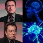 elon brain yes no