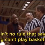 Air Bud - ain't no rule