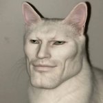 chad cat