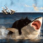 Shark