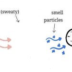 Smelly particales meme