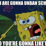 YOU ARE GONNA LIKE IT! | YOU ARE GONNA UNBAN SCHLEP; AND YOU’RE GONNA LIKE IT!! | image tagged in you are gonna like it,schlep,freeschlep,roblox,roblox meme | made w/ Imgflip meme maker