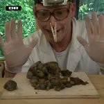 Guess a poop