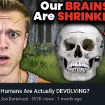 Our Brains Are Shrinking