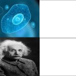 Dumb V.S. smart (an average meme)