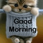 Good Morning Mom!