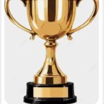 This post wins X in the category of