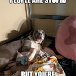 DAWGIE ☺️? | YOU KNOW WHEN PEOPLE ARE STUPID; BUT YOU'RE JUST A DOG | image tagged in you know when dawg | made w/ Imgflip meme maker