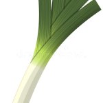 leek