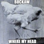 Mike the Headless Chicken | BUCKAW; WHERE MY HEAD | image tagged in mike the headless chicken | made w/ Imgflip meme maker