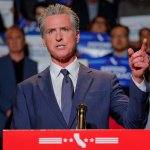 gavin newsom