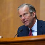 John Thune meme