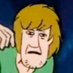 Shaggy