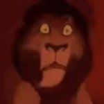 Why did you add this