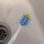 Frazzled Toddler Toothbrush
