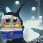 slugbob meme