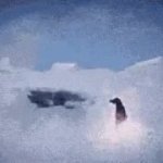 Penguin rocket GIF Template