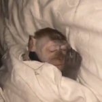 How i sleep
