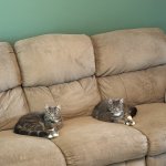 You may be wondering why we called this meeting