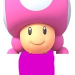 Newborn Toadette