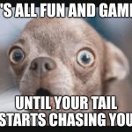 Uh oh | IT'S ALL FUN AND GAMES; UNTIL YOUR TAIL STARTS CHASING YOU | image tagged in uh oh | made w/ Imgflip meme maker