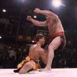Bloodsport Ball Punch