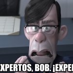 Son expertos Bob
