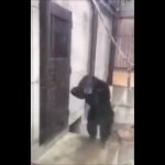 MONKEY NEED OUT GIF Template