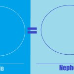 Uncle-Nephew Relationship Meme