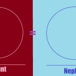 Aunt-Nephew Relationship Meme