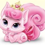 Dreamy Aurora's Pet Kitten