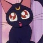 Luna Voice - Sailor Moon (TV Show) - Behind The Voice Actors