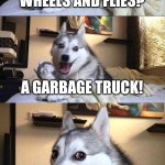 get it? | WHAT HAS FOUR WHEELS AND FLIES? A GARBAGE TRUCK! | image tagged in memes,bad pun dog,joke | made w/ Imgflip meme maker
