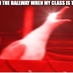 Screaming bird | THAT ONE KID IN THE HALLWAY WHEN MY CLASS IS TAKING A TEST: | image tagged in screaming bird | made w/ Imgflip meme maker