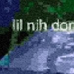 lil nih don't know meme